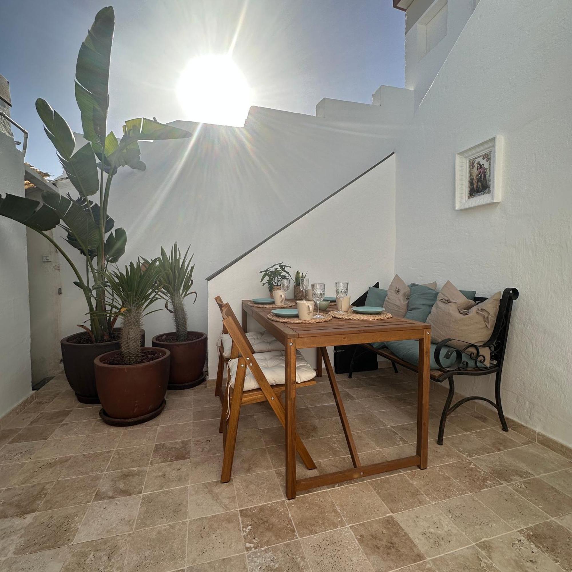 Palm Leaf Mogan Appartement